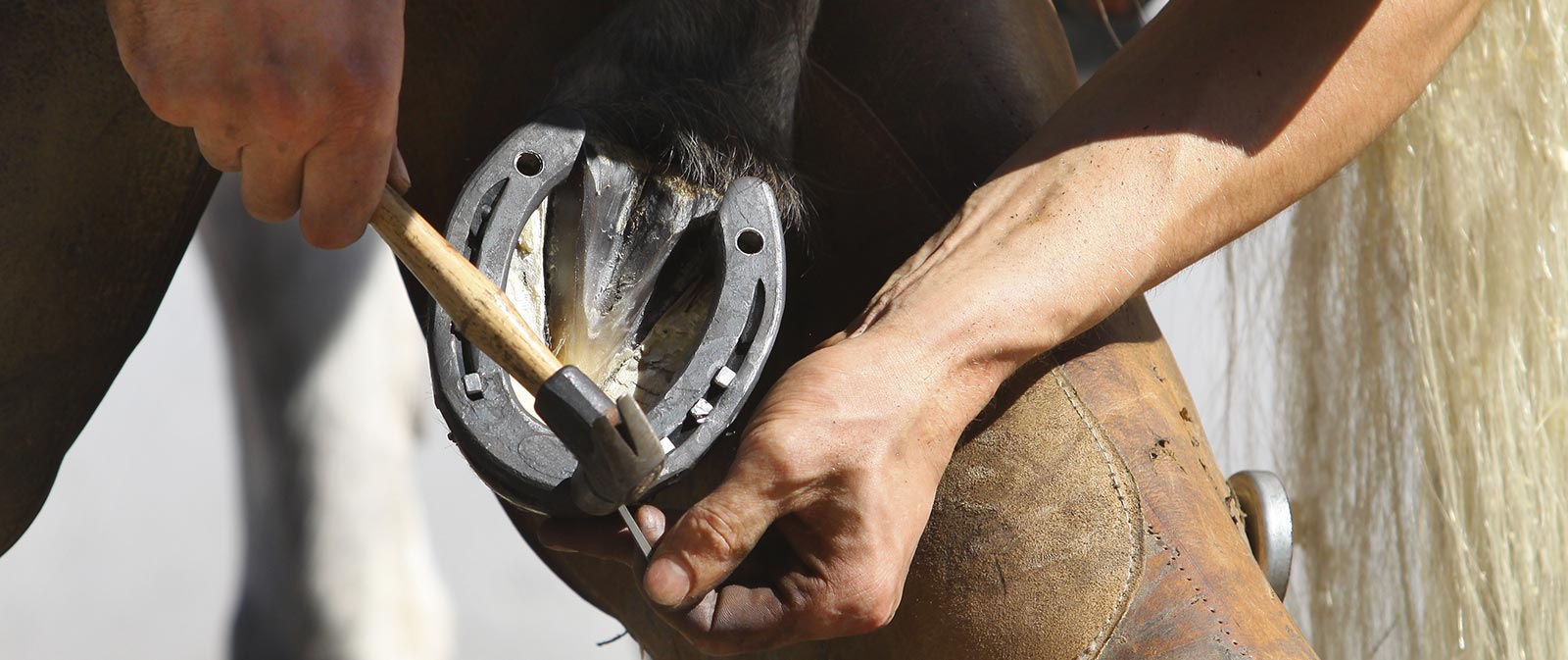 Florian Hering Start