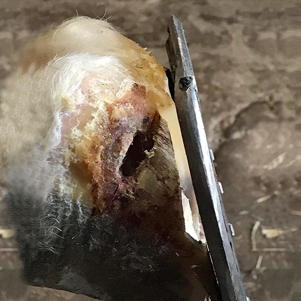 Florian_Hering_Trachtenentlastung_Eisen_seitlich